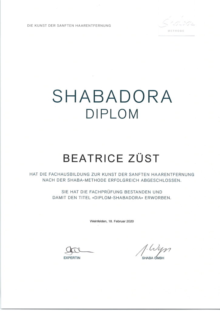 Diplom Shabadora